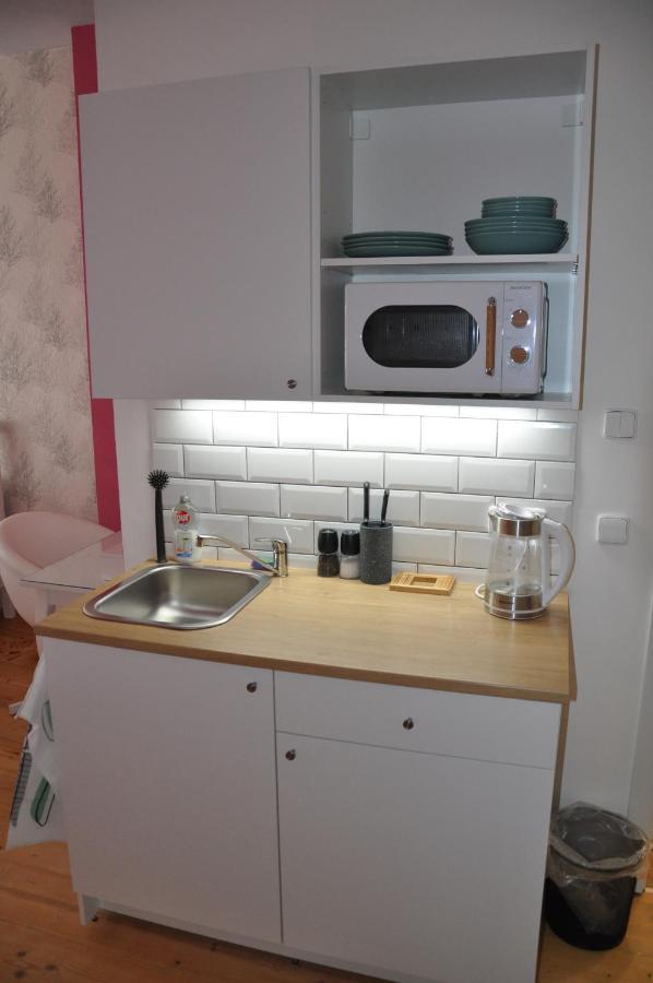 Apartman U Vaclava V Centru Mesta Litomyšl Extérieur photo